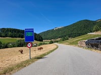 Scheltenpass von Ramiswil