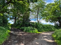 Scherberg from Teuterhof