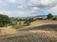 Scherpenberg via Zandberg
