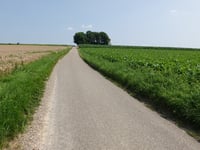 Scheumermolenweg