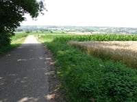 Scheumermolenweg