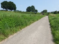 Scheumermolenweg