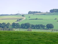 Scheumermolenweg