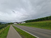 Schienerberg von Wangen