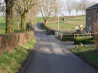 Schilberg über Kwakhaag
