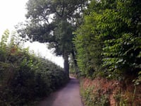 Schilberg von Slenaken