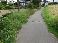 Schildstrasse von Zweibrüggen