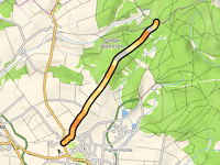 Schirmbühl