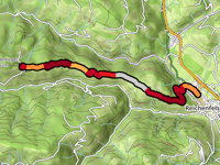Schlanderkogel von Reichenfels