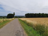 Schlangenweg von Seffent