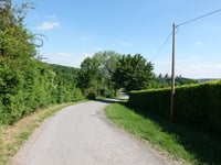 Schlangenweg von Seffent