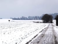 Schlangenweg da Orsbach