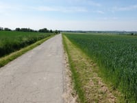 Schlangenweg da Orsbach