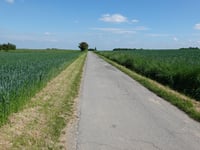 Schlangenweg da Orsbach