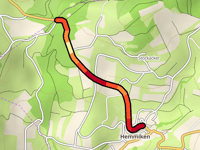 Schlegel von Hemmikon