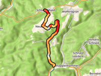 Schlegelshaid por Neuengrün