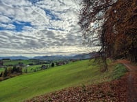 Schlieregg desde Bachgaden