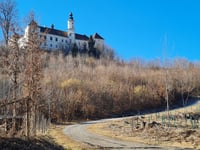 Schloss Freiberg über Freibergweg
