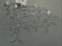 Schlossweg da Bernkastel-Kues