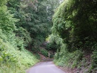 Schlossweg from Bernkastel-Kues