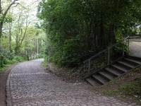 Schlossweg from Bernkastel-Kues