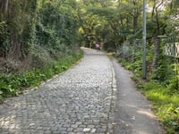 Schlossweg from Bernkastel-Kues