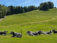 Schlumpf von Dolleren