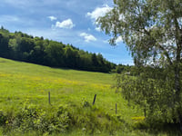 Schlumpf von Dolleren