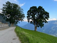 Schnatzhof von Naturns / Naturno
