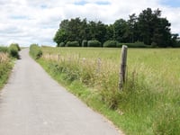 Schnepfenberg von Hahner Strasse