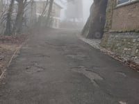 Baneberg von Loker über Schomminkelstraat