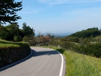 Schönbüch von Achern