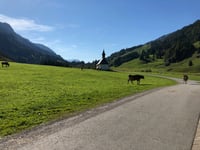 Schönenbach von Bizau