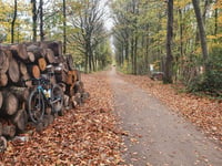 Schophemerheide von 's Gravenvoeren