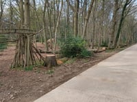 Schophemerheide von 's Gravenvoeren