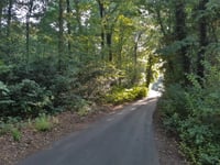 Schophemerheide von 's Gravenvoeren
