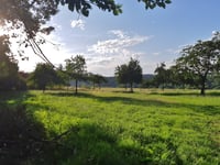 Schophemerheide von 's Gravenvoeren