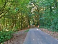Schophemerheide von 's Gravenvoeren