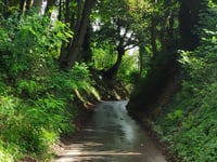 Schophemerheide von 's Gravenvoeren