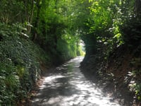 Schophemerheide von 's Gravenvoeren