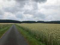 Schöppinger Berg von Haltern