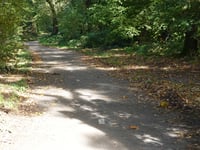 Schrieversheide über Kamperheideweg