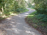 Schrieversheide über Kamperheideweg