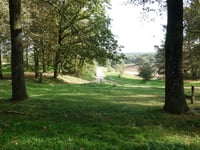 Schrieversheide über Kamperheideweg