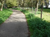 Schrieversheide über Kamperheideweg