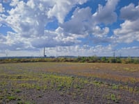 Schurenbachhalde
