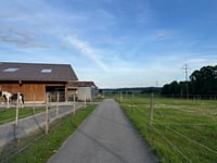 Schützenweg via Höllweg