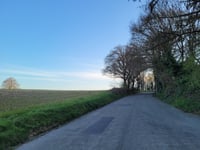 Schuureikenweg da Schurenberg