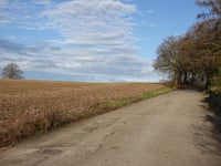 Schuureikenweg von Terschuren