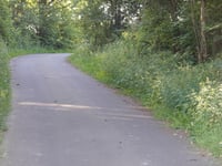 Schwaarzenhiwel über Waldbierg